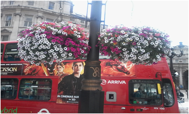 Natural flowers in the streets of London